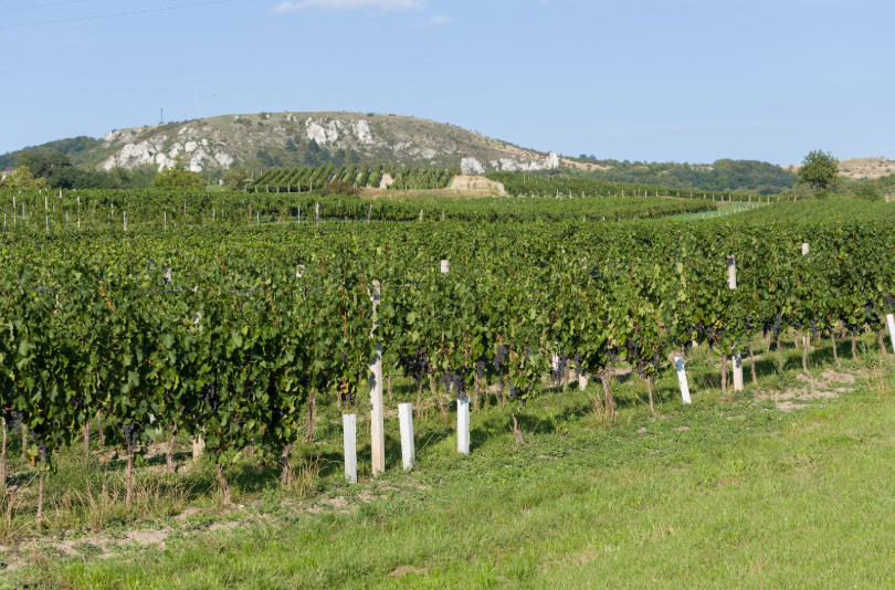 Snímek obrazovky 2025-08-27 134503